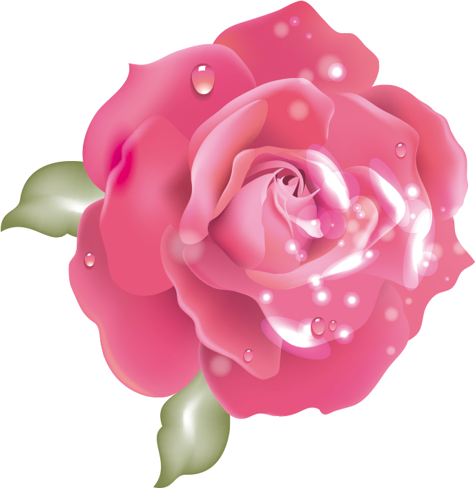 Cheap Rosa With Rosa - Rosa Home (709x709), Png Download