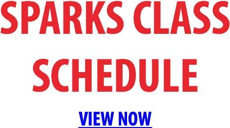 Reno Class Schedule View Now Sparks Class Schedule - Puns About People Who Hate Puns (600x285), Png Download