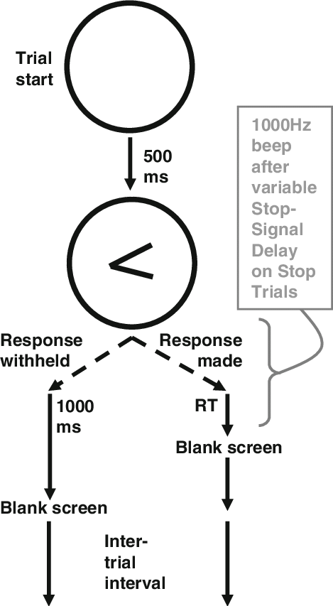 Events In The Stop-signal Task - Dow Jones Factiva (469x853), Png Download
