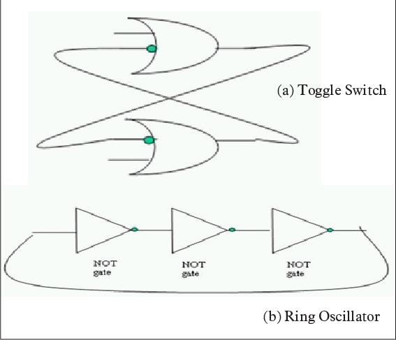 A Toggle Switch Where Two Implies Gates Are Connected - Diagram (567x487), Png Download