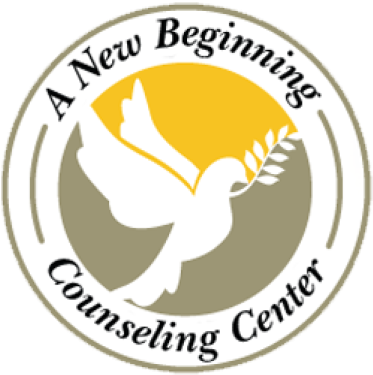 We Are Proud To Announce Our New Website - Website (500x383), Png Download
