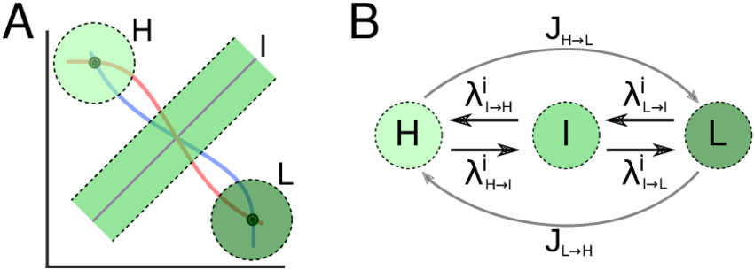 3 States Model For The Co Repressive Toggle Switch - Diagram (850x305), Png Download