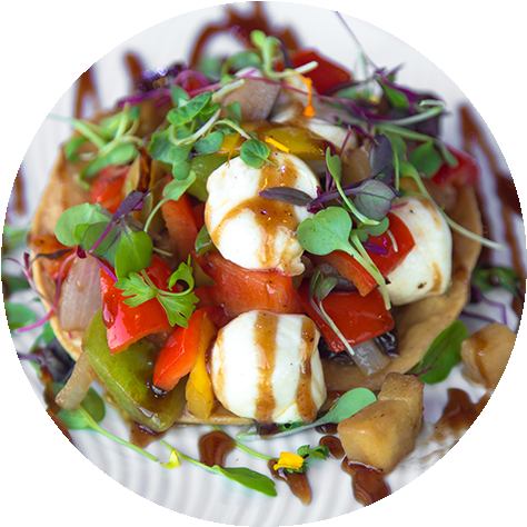 Tostada De Queso - Ceviche With Transparent Background (500x500), Png Download