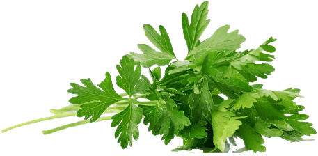 Perejil Png - Me.fan Clear Seasoning Rack Spice Pots - 4 Piece Acrylic (500x333), Png Download