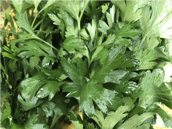 Perejil - Parsley (600x600), Png Download