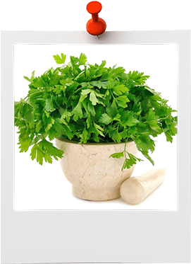 Perejil - Vitaminas Tiene El Perejil (400x400), Png Download