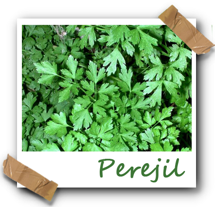 Maria Perejil - Eladiet Complex Fitotablet Prost (prostabest) 60comp. (442x425), Png Download