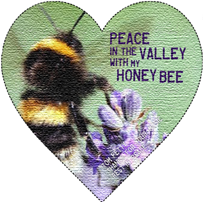 Lyrics From One Of My Favorite Tom Petty Songs / Honey - Wildflower And Bees (427x427), Png Download