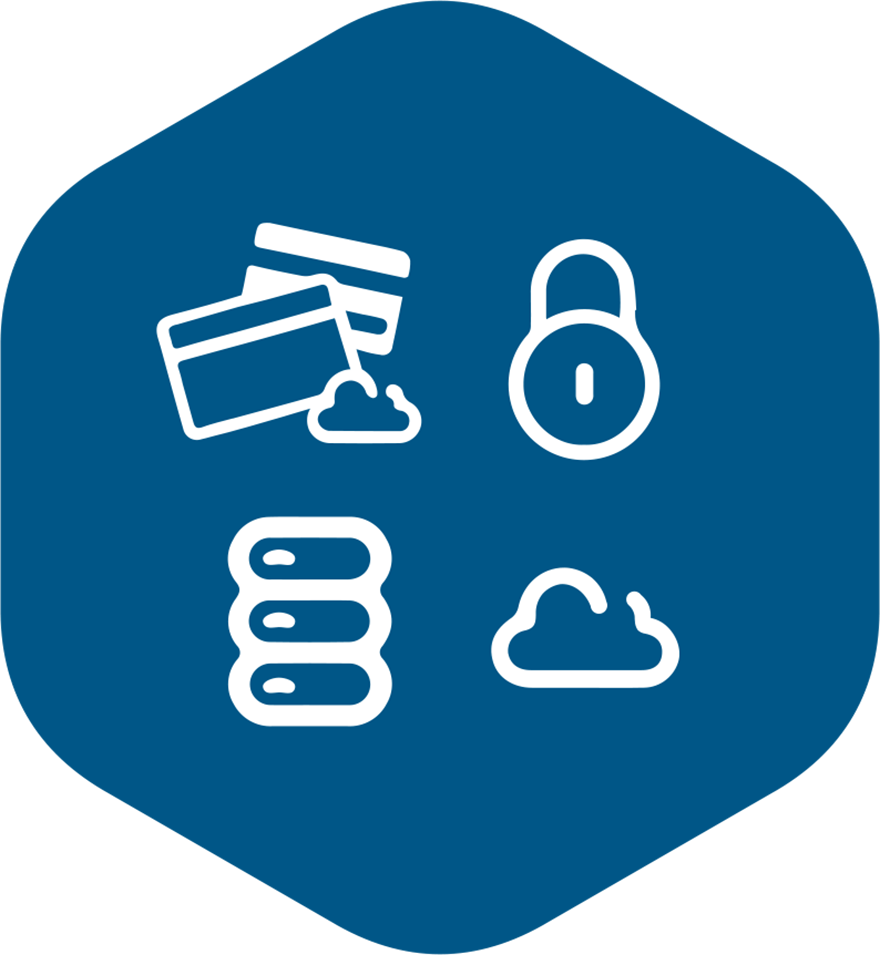 Hybrid Cloud - Vapor Steam Cleaner (880x955), Png Download