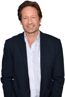David Duchovny On His Debut Album, The X-files, And - Gentleman (330x412), Png Download