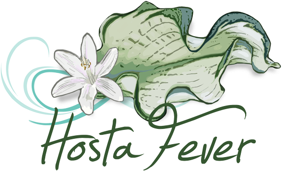 Hosta Fever (610x406), Png Download
