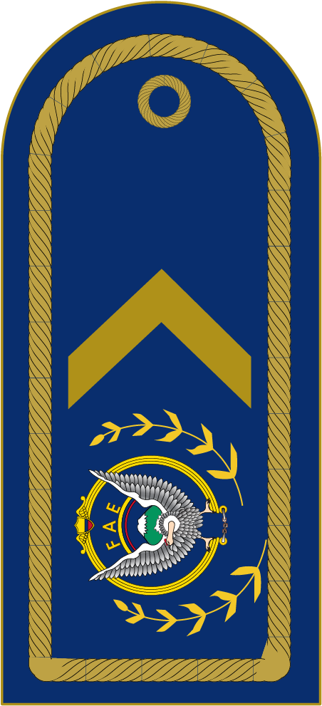 File - Subs - Emblem (704x1206), Png Download