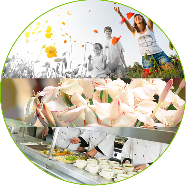 Cosmetic Products - Collage Picture Frame 4 Openings 16x20 (600x600), Png Download