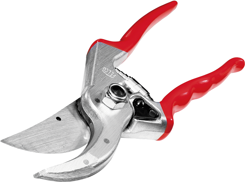 Hosta Foliage Is Perfect For Cutting (1024x1024), Png Download