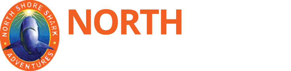 North Shore Shark Adventures (950x232), Png Download