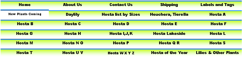 Plant Name - Plantain Lilies (846x203), Png Download