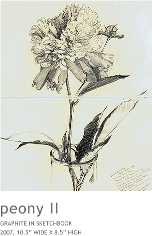 Peony2 - Orchid (634x510), Png Download