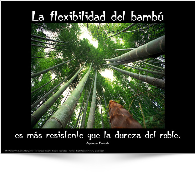 The Bamboo Which Bends - Osho Quotes Bamboo (650x670), Png Download