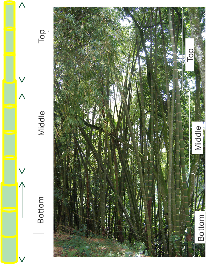 Download - Thermal Diffusivity (674x883), Png Download