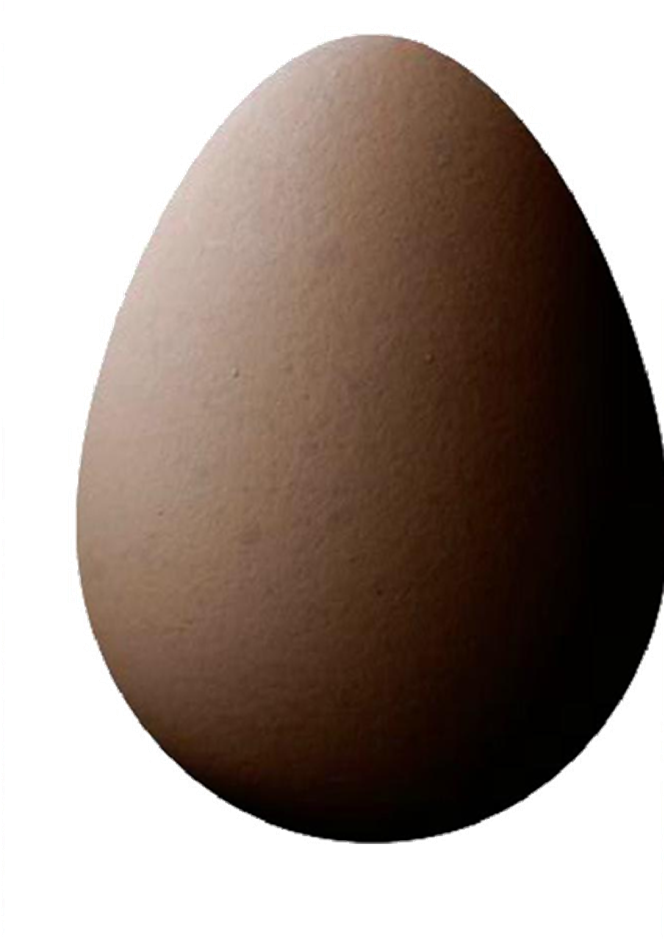Brown Egg - Mirror (665x940), Png Download