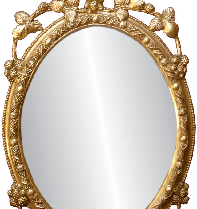 Mirror ai
