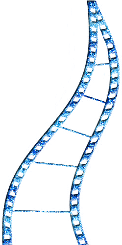 Pngs Variados - Fondos Para Fotos De Rollo De Pelicula Png (275x500), Png Download