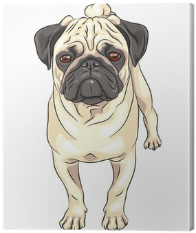 Vector Sketch Cute Dog Pug Breed Canvas Print • Pixers® - Perro Pug Para Dibujar (400x400), Png Download
