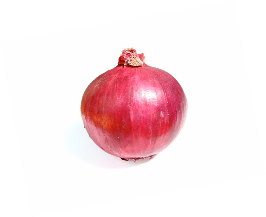 Onion Fun Facts - Red Onion- 50 Seeds (857x702), Png Download