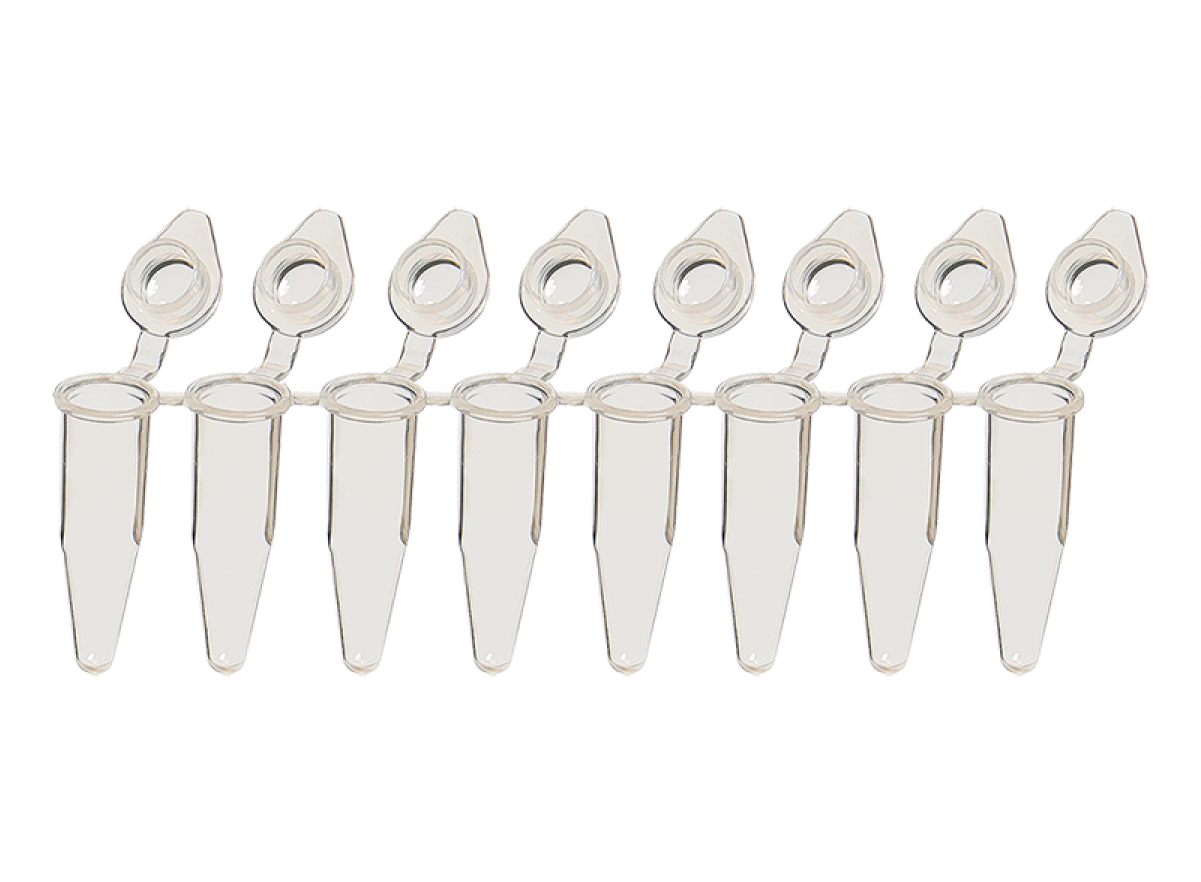 Snapstrip Pcr Tubes - Polymerase Chain Reaction (1200x1200), Png Download