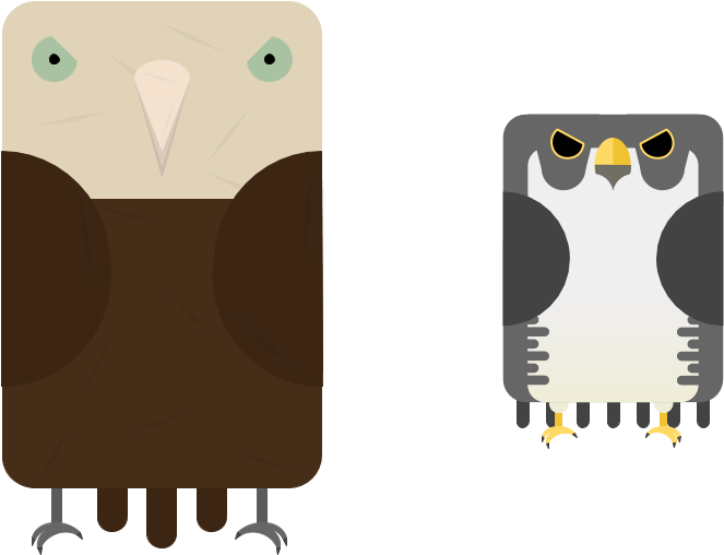Animalgiant Petrel - Owl (960x540), Png Download