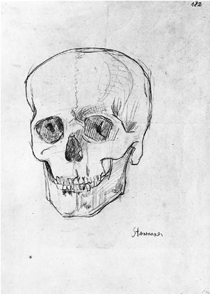 Pencil On Wrapping Paper 450 Mm X 320 Mm - Skull (339x454), Png Download