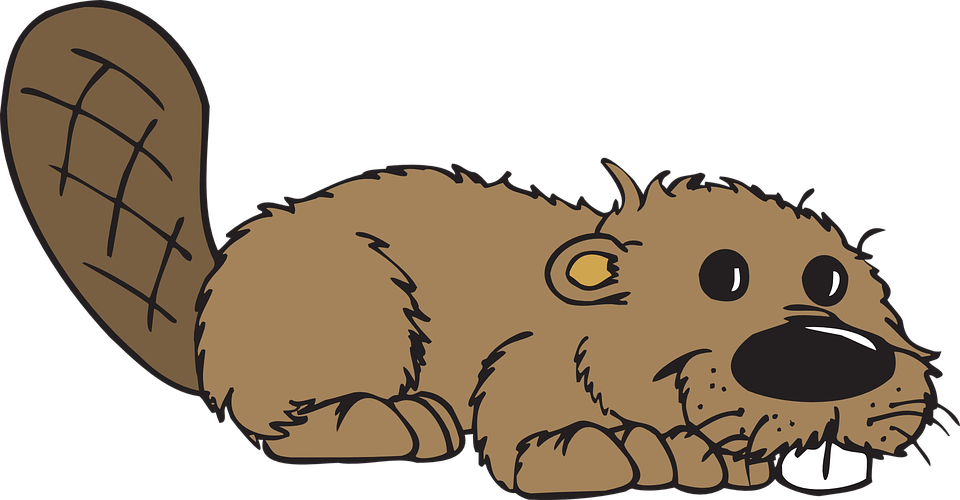 Dog Clipart Clipart Pug Dog Curly Tail Clipart 6125 - Sign Of The Beaver Gif (960x500), Png Download