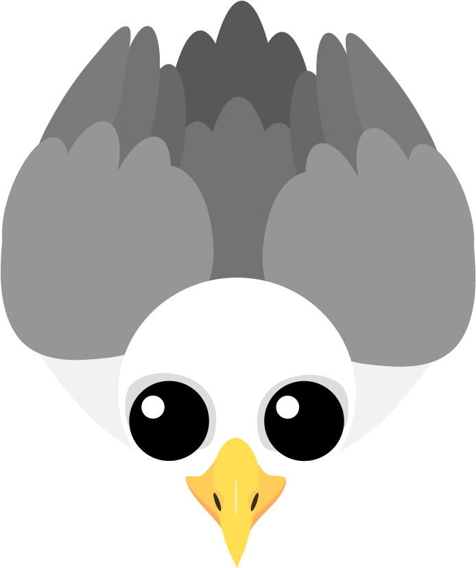 Https - //i - Redd - It/4efc2qh2s1h11 - Portable Network Graphics (1000x1000), Png Download