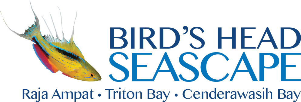 Bird's Head Seascape Library / Research / Biodiversity, - Raja Ampat (1000x356), Png Download