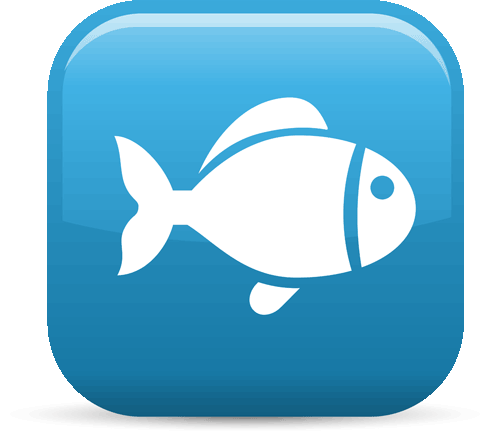 A Big Fish Story When Social Media Attacks A Chicago - Life (500x433), Png Download