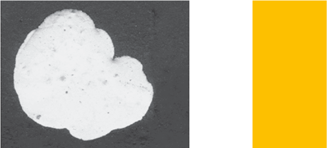 Teatre P 1 - La Seca Espai Brossa (800x300), Png Download