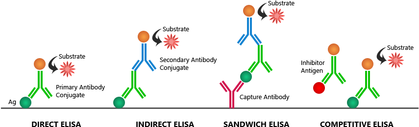 Https - //www - Bosterbio - Com/protocol And Troubleshooting/ - Direct Enzyme Linked Immunosorbent Assay (876x289), Png Download