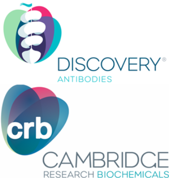 Cambridge Research Biochemicals Launches Discovery - Antibody (640x360), Png Download