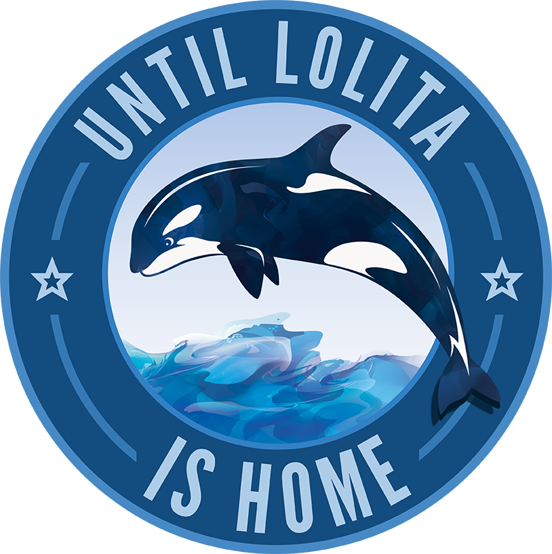 Until Lolita Is Home - Fourth Street Bbq Charleroi Pa (795x797), Png Download