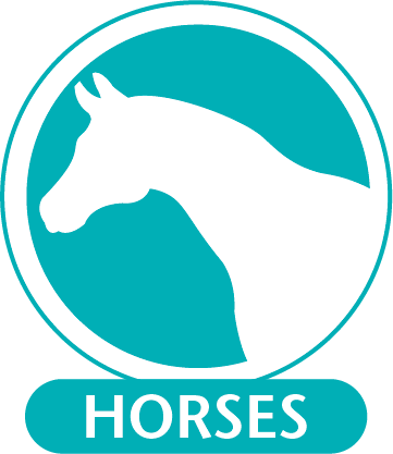 Panels Of Monoclonal Antibodies Are Available For A - Stallion (361x417), Png Download