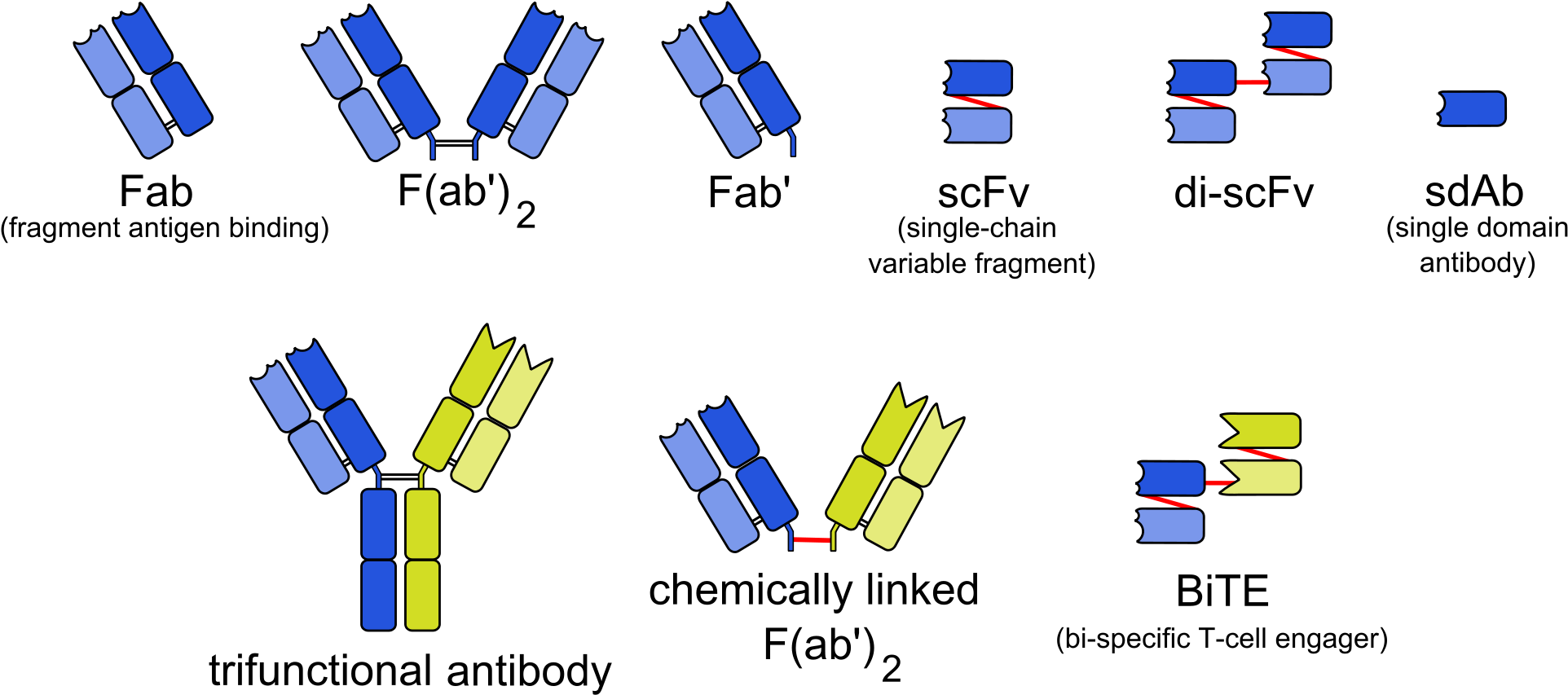 Open - Single Chain Variable Fragment (2000x923), Png Download