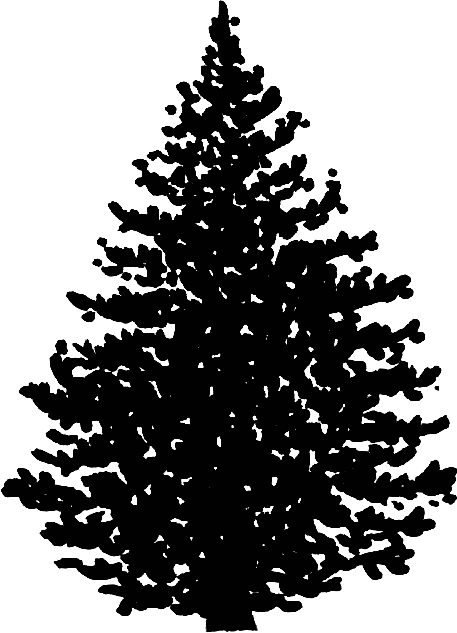 Seeing The Forest For The Trees - Forest (457x633), Png Download