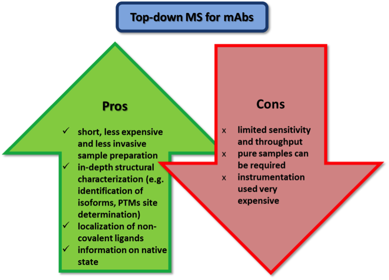 Mass Spectrometry-based Approaches For Quality Control - Monoclonal Antibodies Advantages (764x550), Png Download