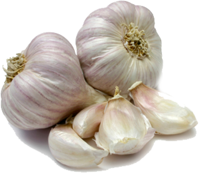 Ajos Png - Garlic Indian (700x559), Png Download