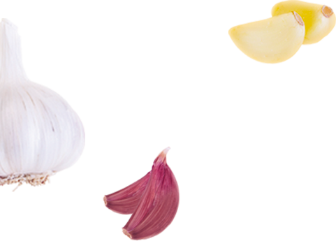 Ajos - Garlic (481x345), Png Download