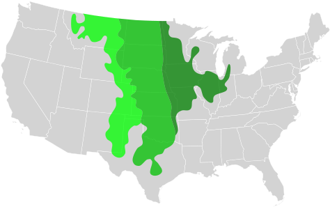 Short Grass Prairie - Us Map Blank Color (500x309), Png Download