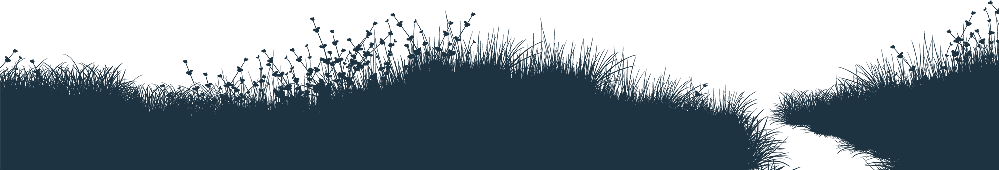 Scroll Down - Ronin Africa (2000x1125), Png Download