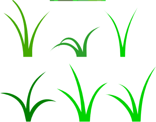 Sea Grass Clipart Black And White - Clip Art (640x480), Png Download