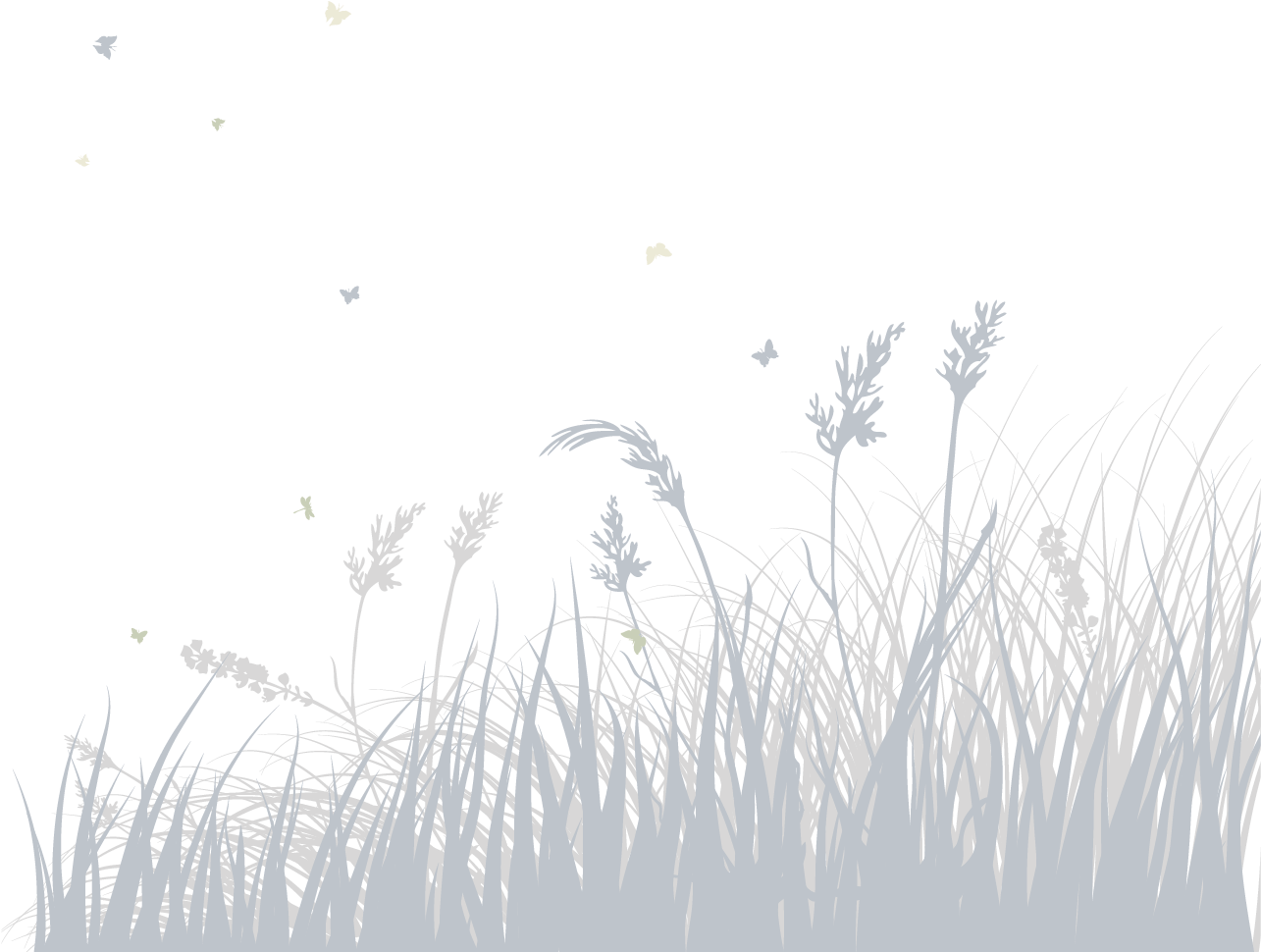 Visceral Leishmanaisis In Eastern Sudan (1416x1274), Png Download