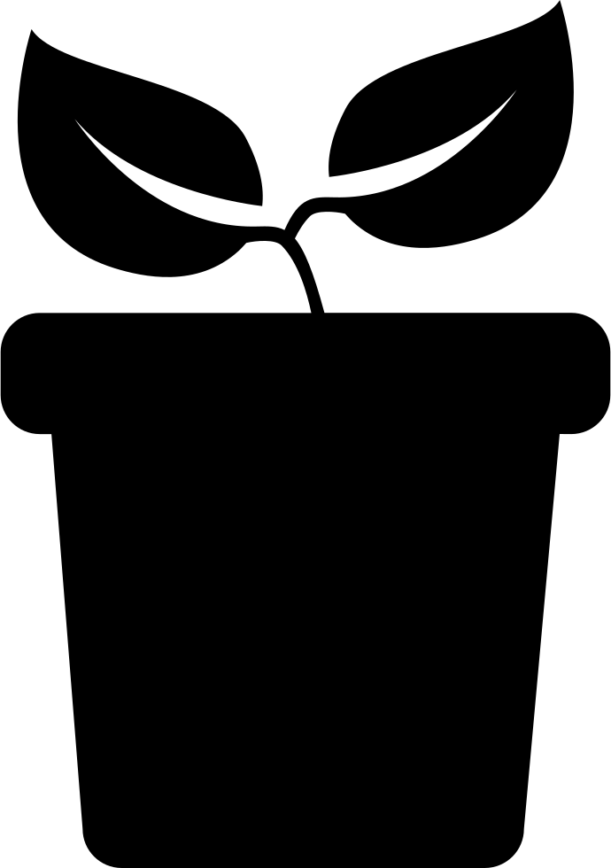 Plant With Two Leaves On A Pot Side View Comments - Icon (690x980), Png Download